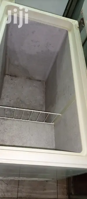 Deep Freezer 300L