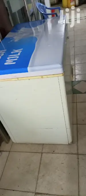 Deep Freezer 300L
