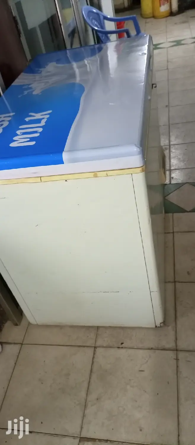 Deep Freezer 300L