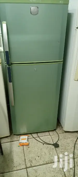 Vitamin LG Fridge