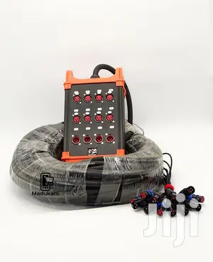 8 Channel 100-Foot 30-Meter XLR Snake Cable