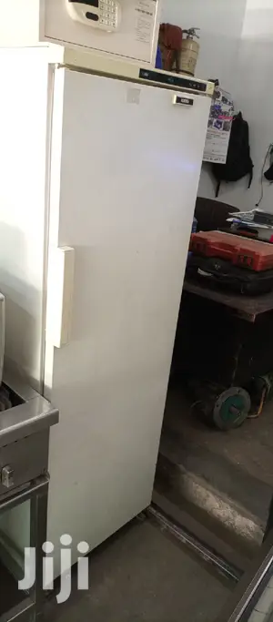 Upright Freezer 400l