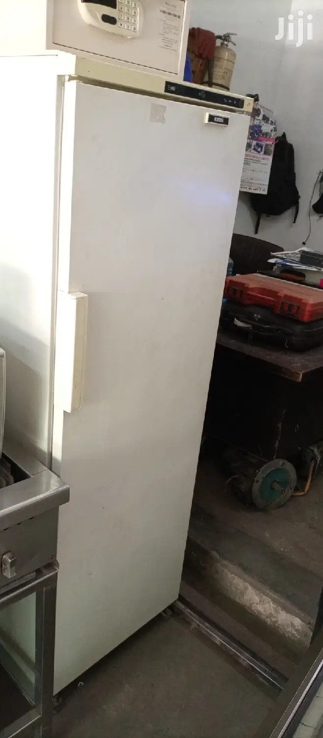 Upright Freezer 400l