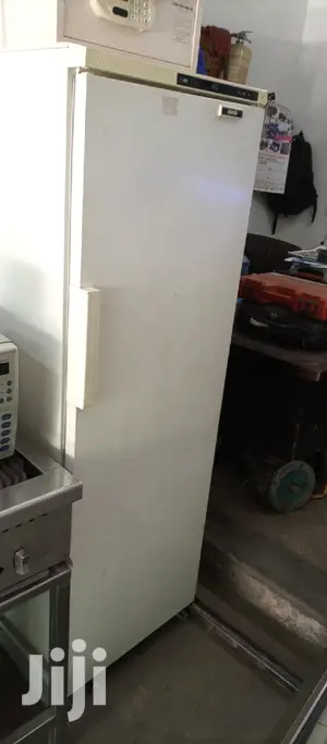 Upright Freezer 400l