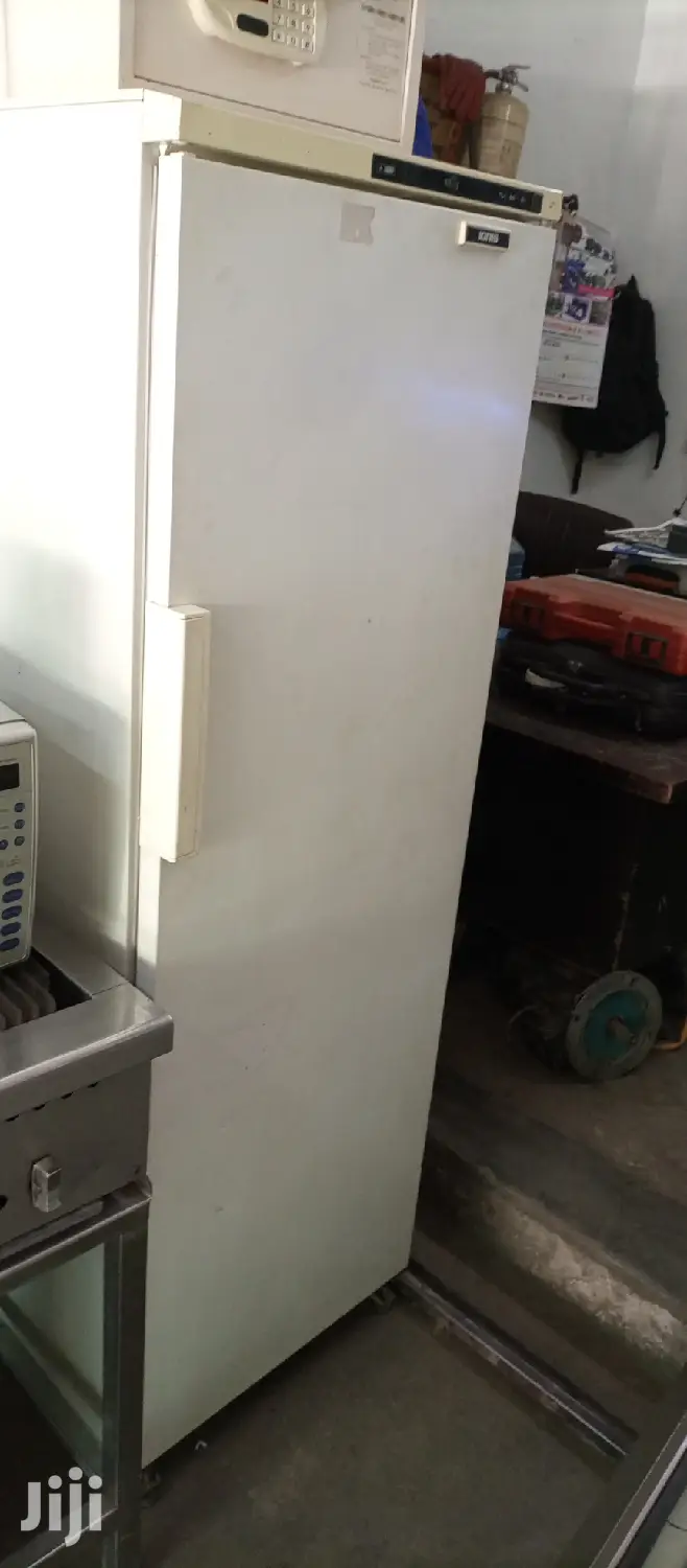 Upright Freezer 400l