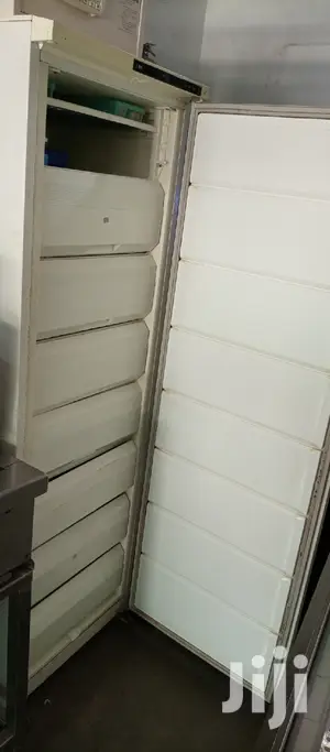 Upright Freezer 400l