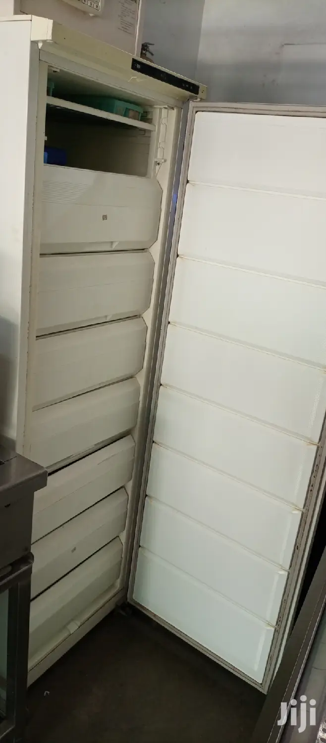 Upright Freezer 400l