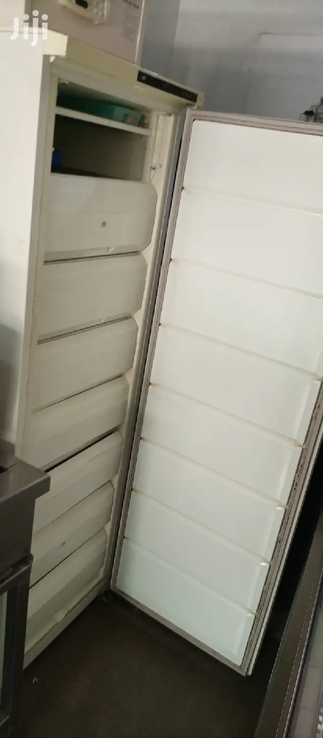 Upright Freezer 400l
