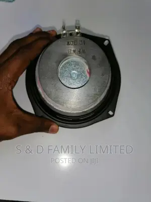 6 Inch Woffer Speaker