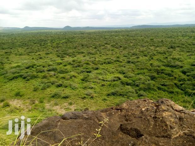 50acres Farmland Ngoiyan