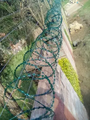 Energized Fences Integrated With Razor Wire