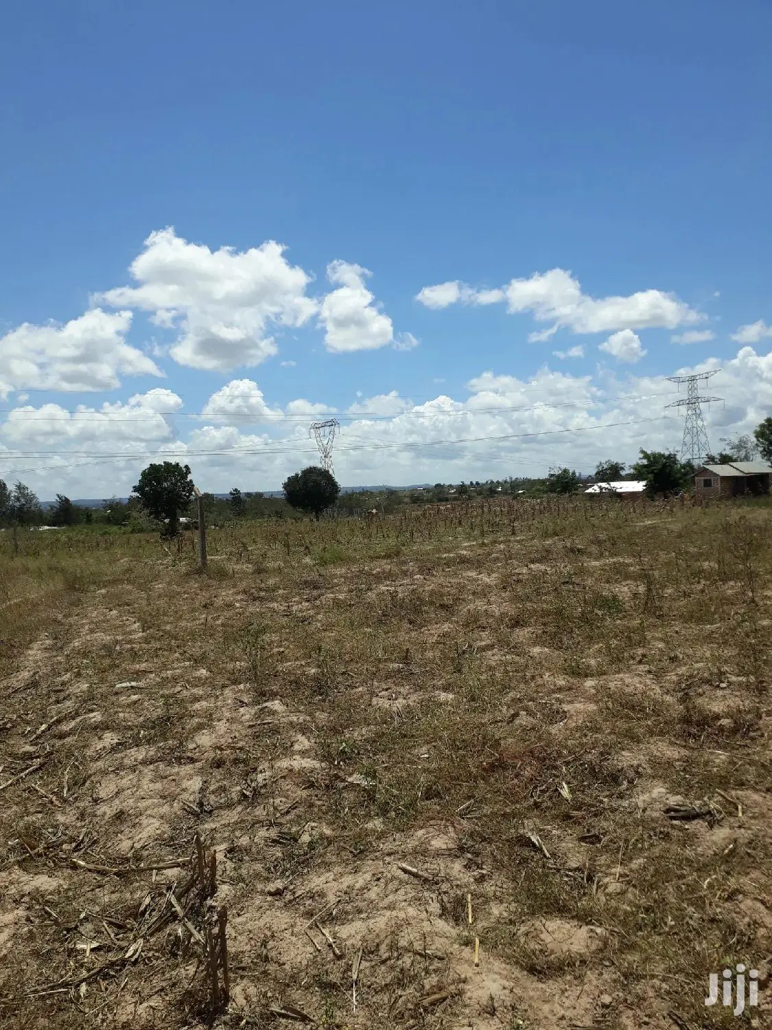 For Sale 50×100 Plots Mariakani
