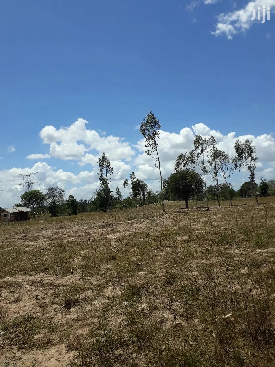 For Sale 50×100 Plots Mariakani