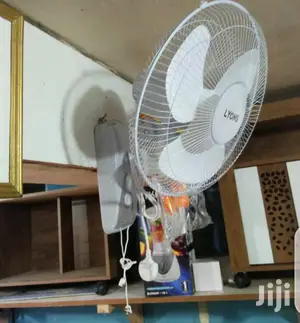 Affordable Wall Fan
