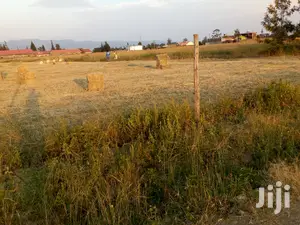 Plot for Sale in Pipeline Gorofa