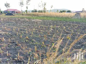 Plot for Sale in Pipeline Gorofa