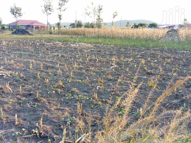 Plot for Sale in Pipeline Gorofa