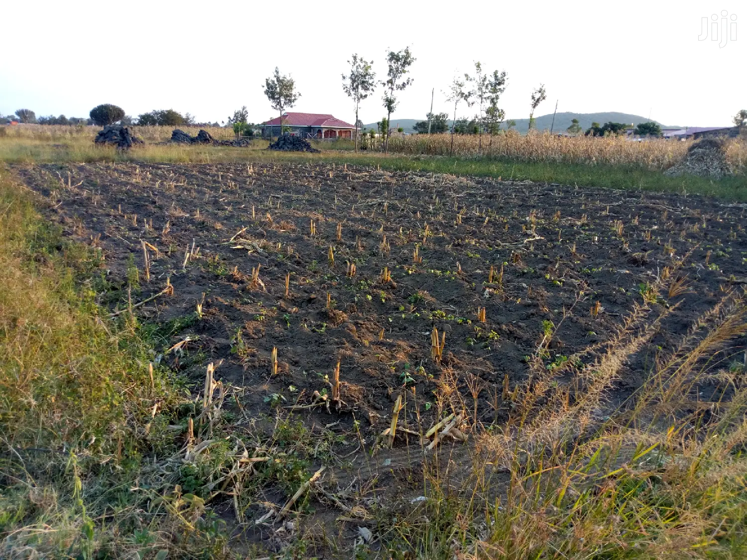 Plot for Sale in Pipeline Gorofa