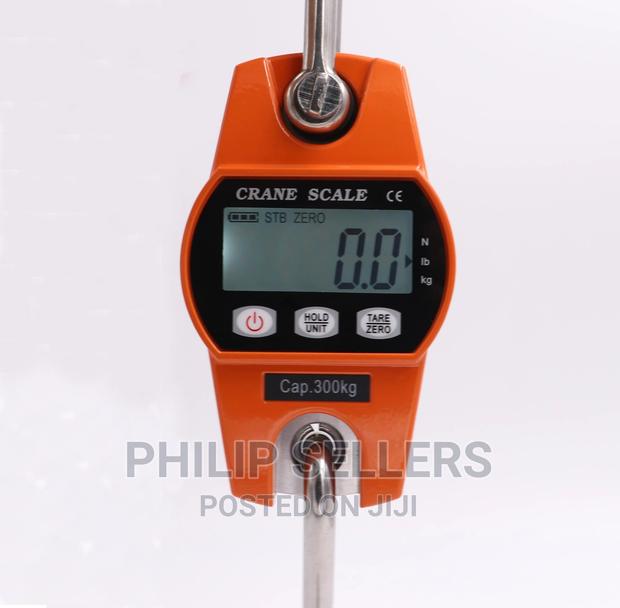 Mini Crane Scale Hanging Weighing Scales Heavy Duty Hanging