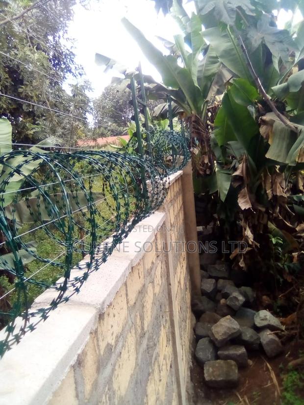 Energized Fences Integrated With Razor Wire - thumbnail 6