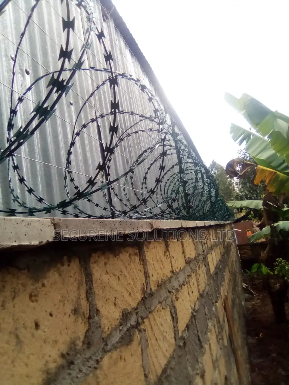 Energized Fences Integrated With Razor Wire