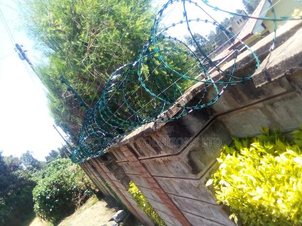 Energized Fences Integrated With Razor Wire - thumbnail 5