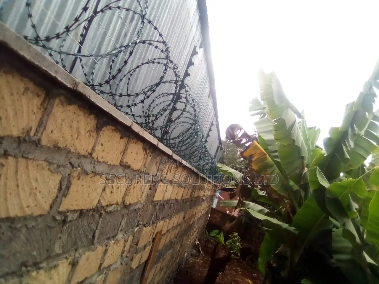 Energized Fences Integrated With Razor Wire