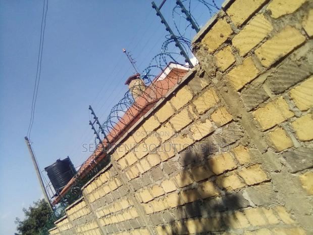 Energized Fences Integrated With Razor Wire - thumbnail 16