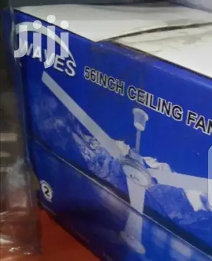 Strong Ceiling Fan