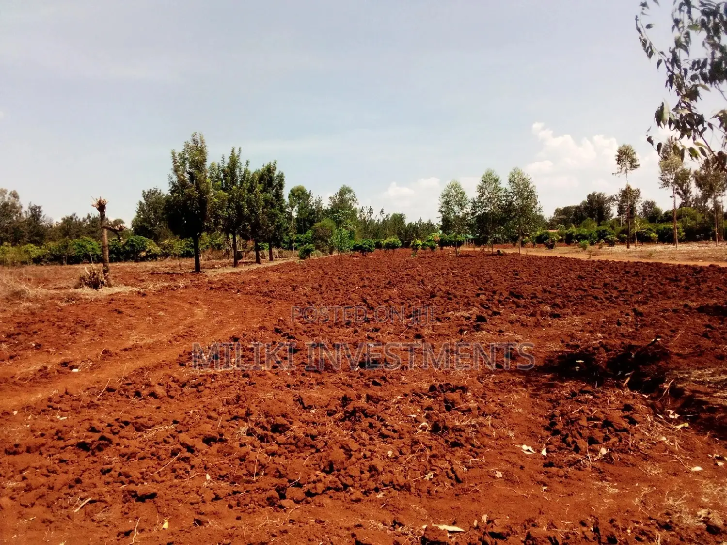 50 by 130 Ft Plot for Sale Sagana/Mwea Junction(Makutano)