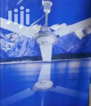 Easy To Use Ceiling Fan