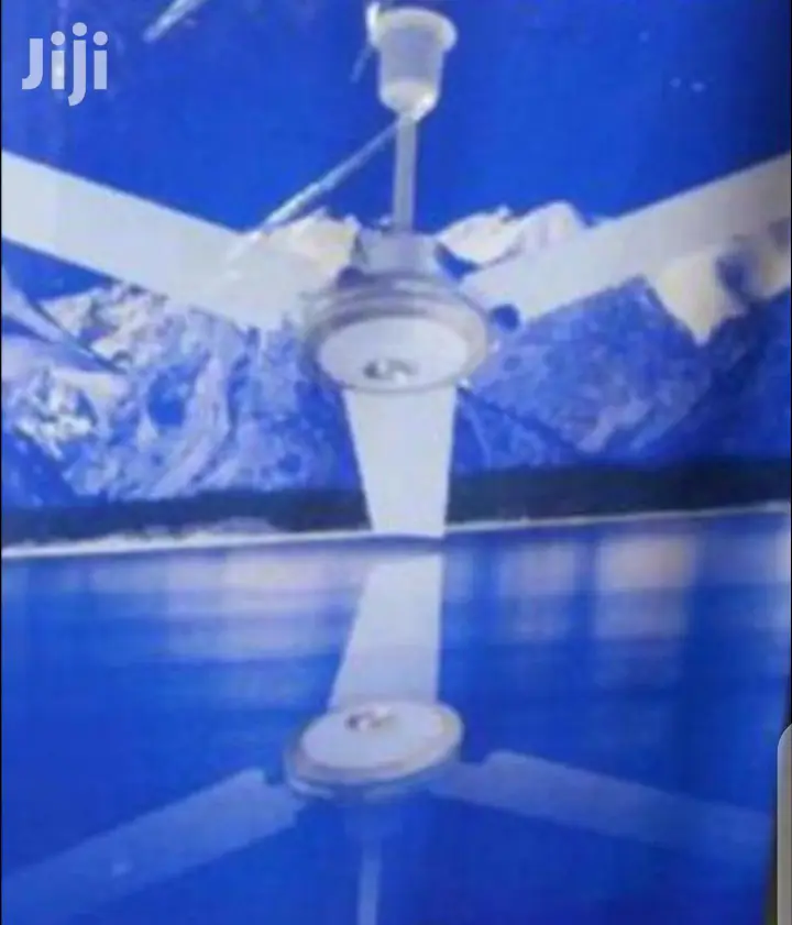 Easy To Use Ceiling Fan