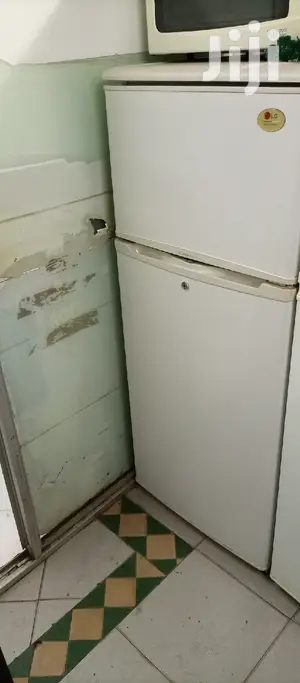 Lg No Frost Fridge