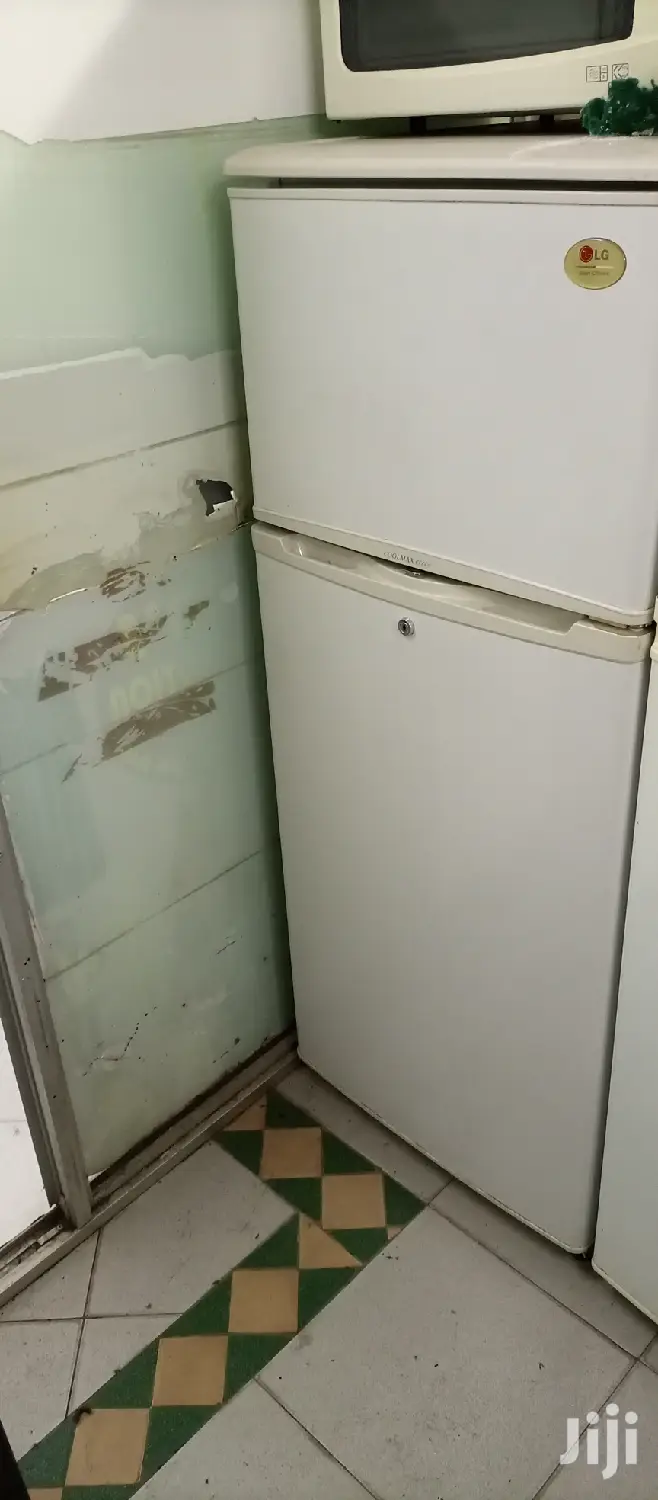 Lg No Frost Fridge