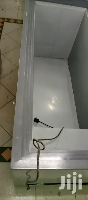Double Door Freezer
