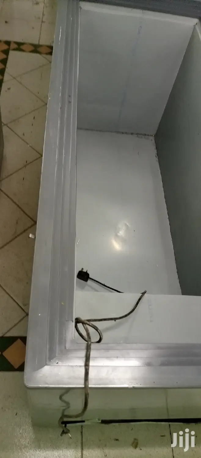 Double Door Freezer