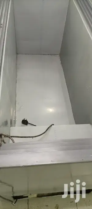 Double Door Freezer