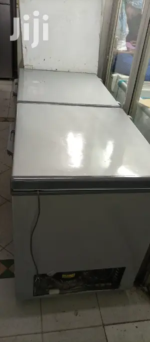 Double Door Freezer