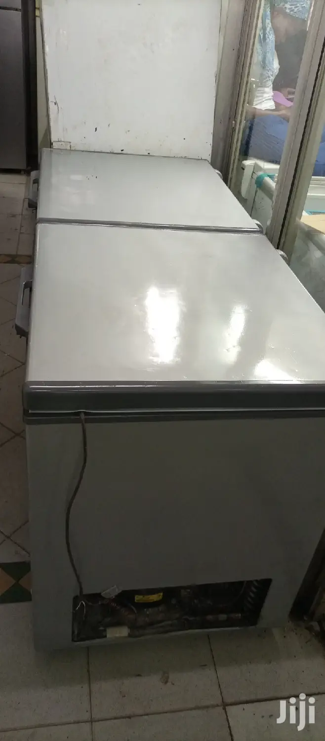 Double Door Freezer