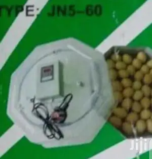 60 Egg Capacity Egg Incubator