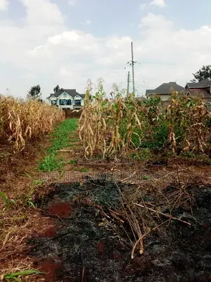 Prime Plot for Sale at Kandara Investment-Githanji