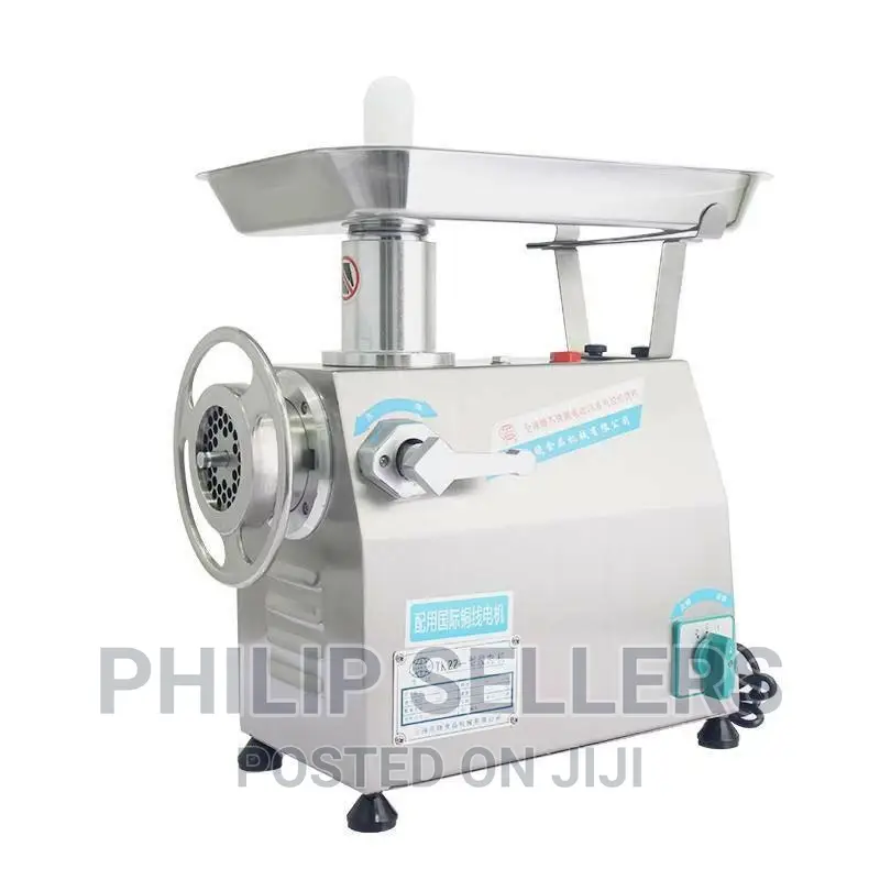 Mincing Machine 220V 250kg/H Meat Grinder