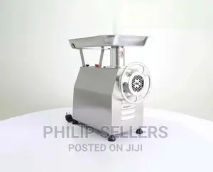 Mincing Machine 220V 250kg/H Meat Grinder