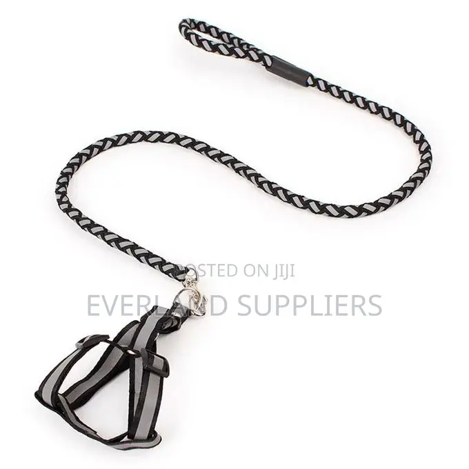 Reflective Dog Leash And Harness