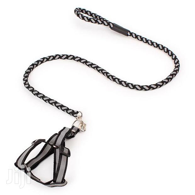 Reflective Dog Leash And Harness - main view