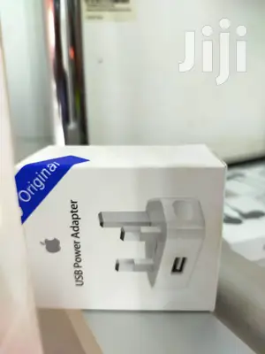 iPhone X Charger