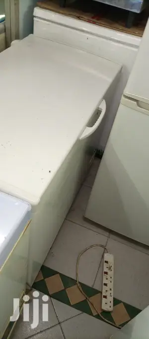 300L Freezer