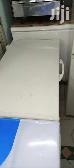 300L Freezer