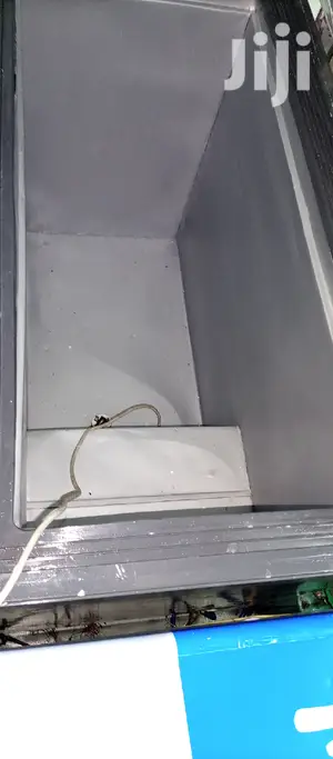 310L Freezer