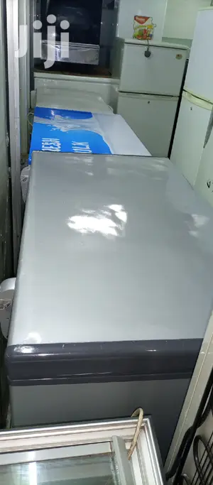 310L Freezer
